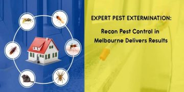 Expert Pest Extermination: Recon Pest Control in Melbourne Delivers Results