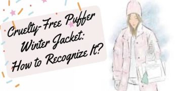 Cruelty-Free Puffer Winter Jacket: How to Recognize It?