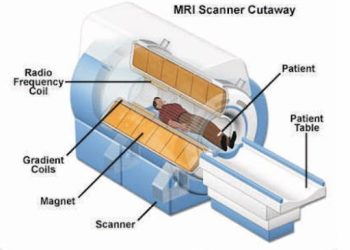 Magnetic Marvels: The Impact of Magnets in the Medical Arena