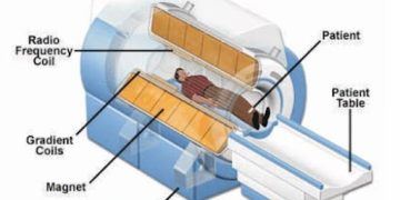 Magnetic Marvels: The Impact of Magnets in the Medical Arena