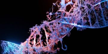 Understanding the Mechanisms of Nicotinamide Adenine Dinucleotide in DNA Repair