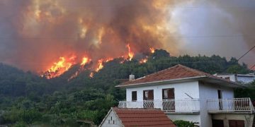 Wildfire Precautions and Safety: What to Know