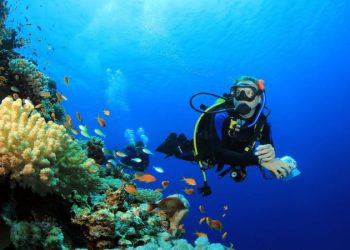 East Africa: The Ultimate Scuba Diving Destination
