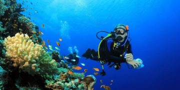East Africa: The Ultimate Scuba Diving Destination