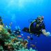 East Africa: The Ultimate Scuba Diving Destination