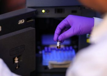 Mastering Drug Metabolism and Pharmacokinetics: The DMPK Guide