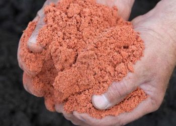 Maximizing Plants Growth: The Potent Power of Potash Fertilizer