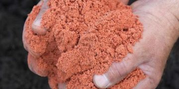 Maximizing Plants Growth: The Potent Power of Potash Fertilizer