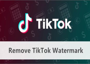 What is the TikTokio watermark remover app?