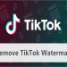 What is the TikTokio watermark remover app?