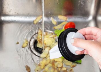 Avoiding Disaster: Things You Should Never Dispose of in Your Garbage Disposal