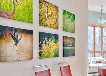 Choosing Between Poster Printing and Canvas; Which One is Right for You?