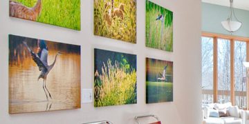 Choosing Between Poster Printing and Canvas; Which One is Right for You?