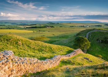 Newcastle Unleashed: An Exciting Road Trip Adventure in the North