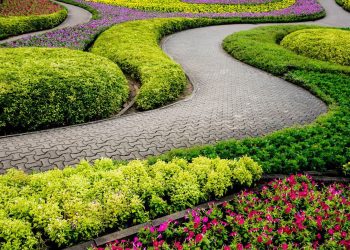 U-Shaped Raised Garden Bed: What It Is And Why Should You Have One?