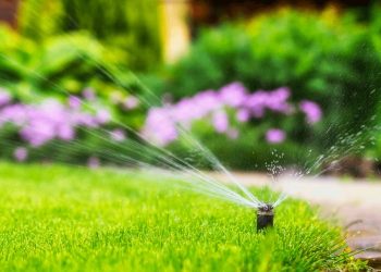 Reasons your outdoor project may need irrigation