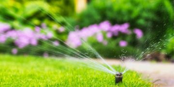 Reasons your outdoor project may need irrigation