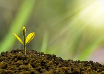 A Different Perspective: Depression as a Catalyst for Personal Growth