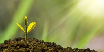A Different Perspective: Depression as a Catalyst for Personal Growth