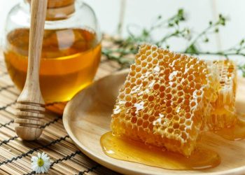 From Hive to Table: The Journey of Sweet Success