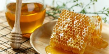 From Hive to Table: The Journey of Sweet Success