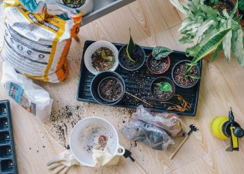 Gardening As A Way To Relax For A Student