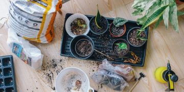 Gardening As A Way To Relax For A Student