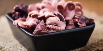Octopus 101: Everything You Need to Know About This Sea Creature