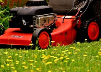 Selecting the Best Sickle Bar Mower for Sale: A Comprehensive Guide