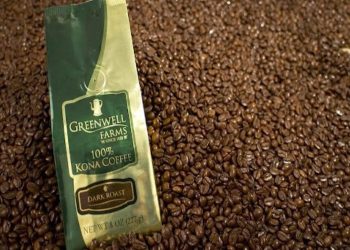 The Exquisite World of Kona Coffee: Why Greenwell Farms is the Gold Standard