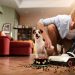 Why the Roborock Dyad Pro Is the Perfect Robot Vacuum for Pet Owners