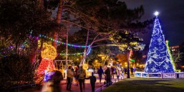 Magic of Christmas in a Beachfront Hotel in Bournemouth