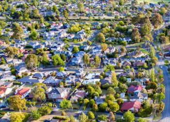 The Green Canopy: Nurturing Urban Trees for a Sustainable Future