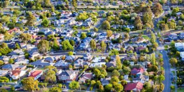 The Green Canopy: Nurturing Urban Trees for a Sustainable Future