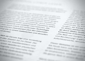 Mastering the Body Paragraphs: Developing Cohesive and Logical Arguments