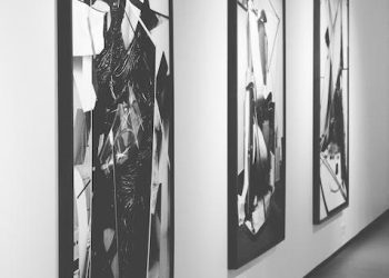 Artistic Innovation: Trends and Themes in Contemporary Art Gallery Exhibitions