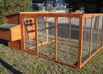 Discovering the Benefits of a Well-Designed Chicken Coop