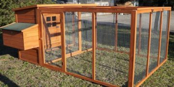 Discovering the Benefits of a Well-Designed Chicken Coop
