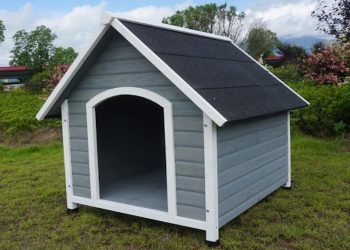 The Ultimate Guide to Choosing the Perfect Dog Kennel