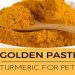 Turmeric Golden Paste for Dogs: Crafting Canine Wellness from Kitchen to Bowl