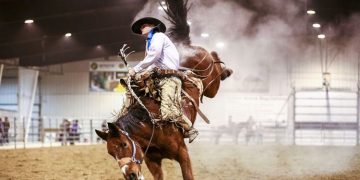Behind the Dust: What to Expect at Your First Rodeo Event