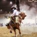 Behind the Dust: What to Expect at Your First Rodeo Event