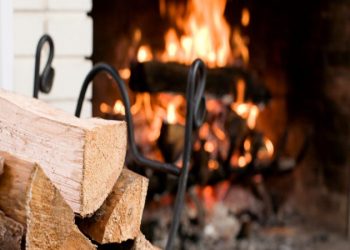 Up in Smoke: Dangers of Burning Unseasoned Wood in Your Fireplace