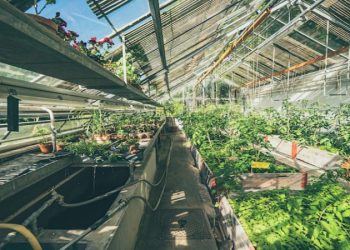 Can Sensors Enhance Safety and Efficiency in Agricultural Environments?