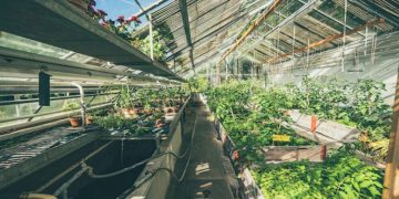 Can Sensors Enhance Safety and Efficiency in Agricultural Environments?