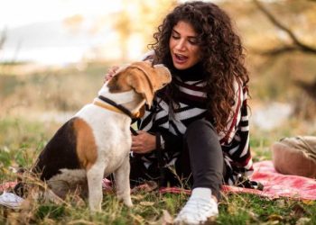 Speak Their Language: Mastering Pets Communication