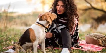 Speak Their Language: Mastering Pets Communication
