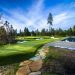 The Art of Turf: Utah’s Stunning Creations Revealed
