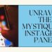 Unravel the Mystique of Instagram Panel