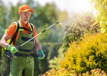 Debunking Herbicide Myths: Separating Fact From Fiction